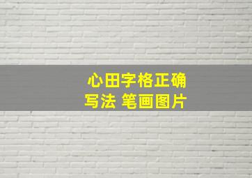 心田字格正确写法 笔画图片